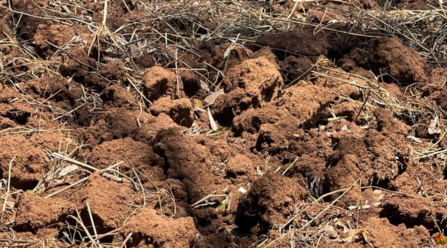 Africa’s Soil has been kidnapped by Chemicals and Corruption